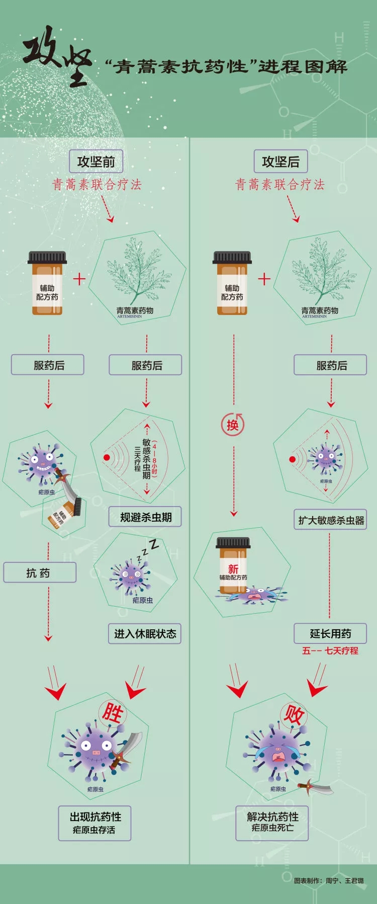 屠呦呦团队＂放大招＂,青蒿素再立新功!