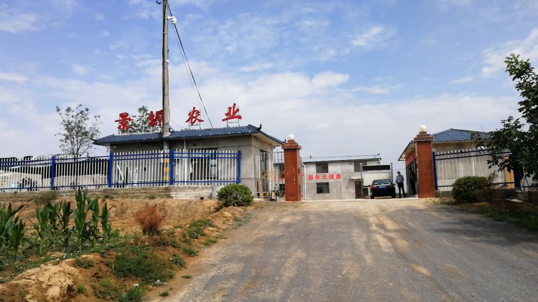 秦艾产业引领孙塬镇贺咀村群众走上致富路