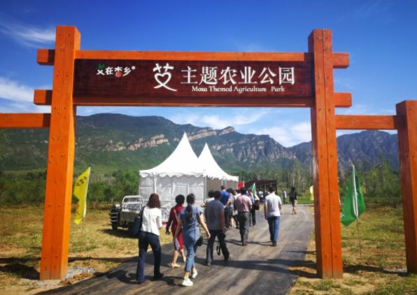 艾蒿文化世园主题村,现代与传统中医完美结合