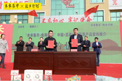 走进山东莒县,艾草飘香带动产业扶贫!