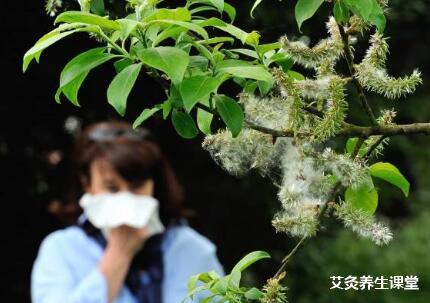 花粉过敏该如何艾灸?_花粉过敏灸哪些穴位?