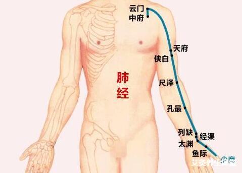 学习艾灸一定要了解这几个经络经脉