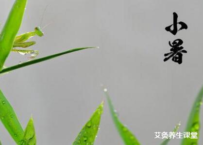 小暑艾灸治疗健脾祛湿_小暑艾灸养生