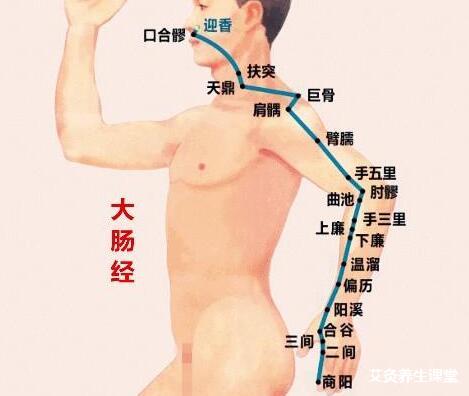 学习艾灸一定要了解这几个经络经脉