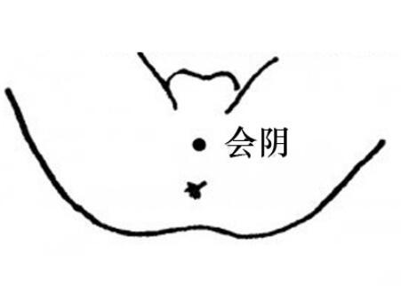会阴穴艾灸治什么病?哪些人需要艾灸会阴穴?