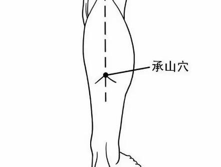 寒湿体质艾灸承山穴