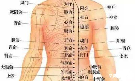 女人保养要艾灸背部!养阳养命与养生