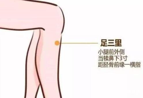 预防中风如何艾灸足三里、悬钟穴?