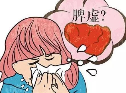 脾虚咋回事?怎么看是不是脾虚?艾灸如何调理脾虚?