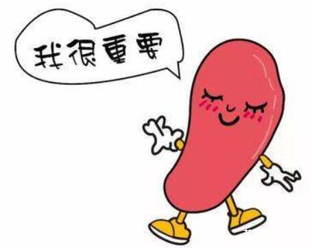脾虚怎么调理?要艾灸哪些穴位?