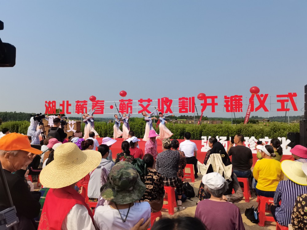 湖北第30届李时珍中药材交易会  暨第7届蕲艾文化节  蕲艾收割开镰仪式