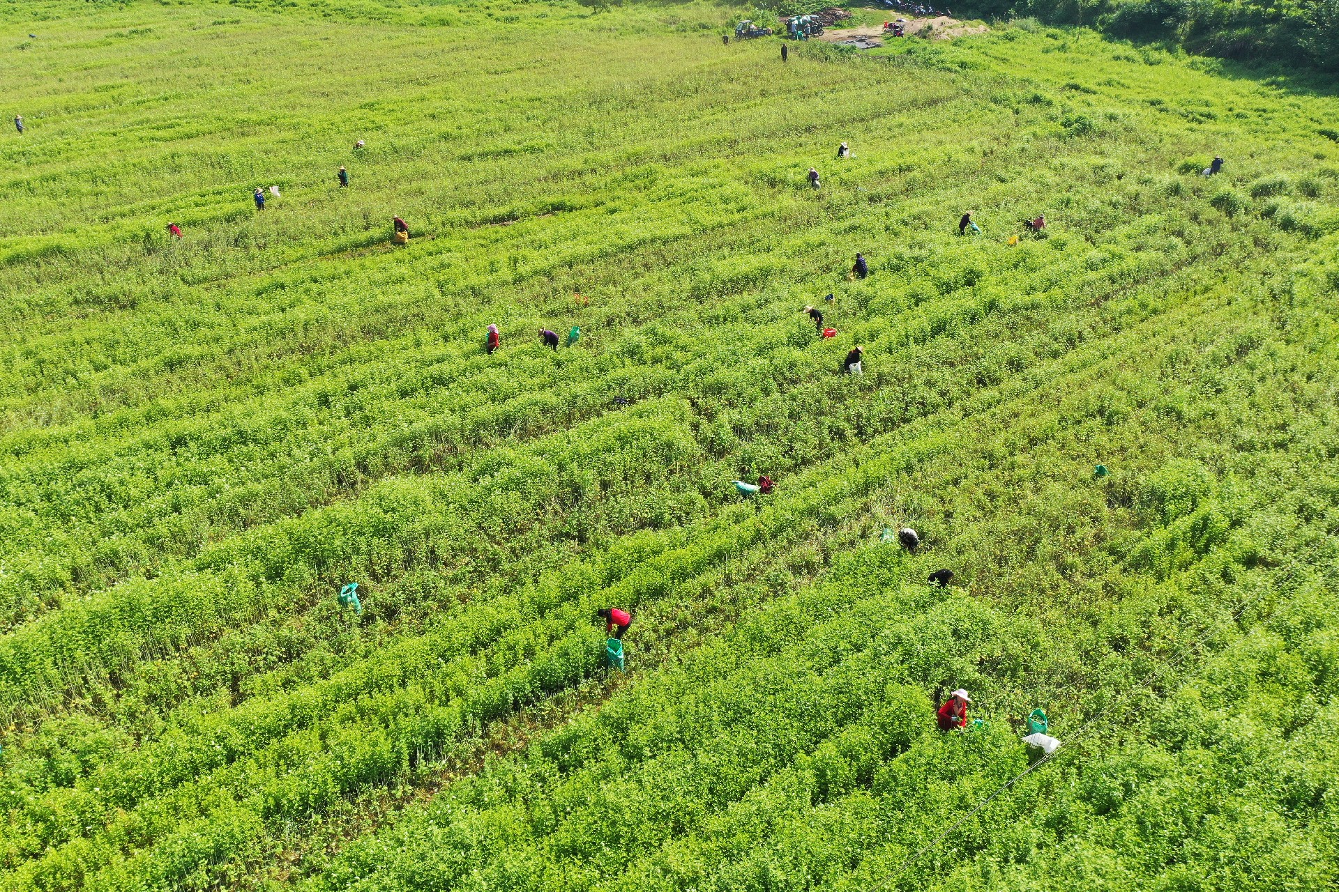 DJI_0199.JPG