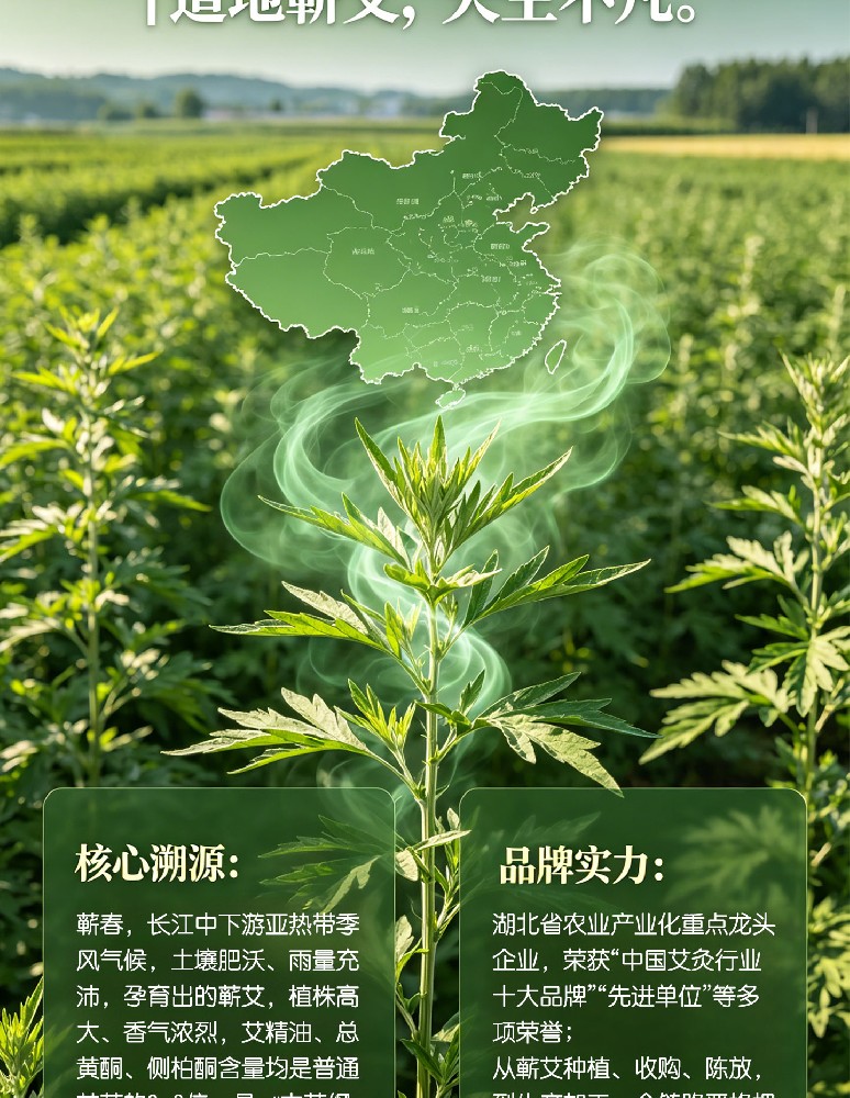2026年艾条厂家排名真相：产区与数据是关键